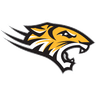 Towson Tigers logo